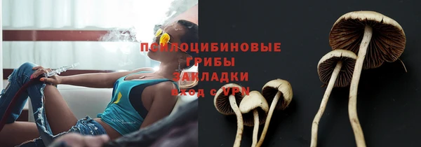 кокаин премиум Краснослободск