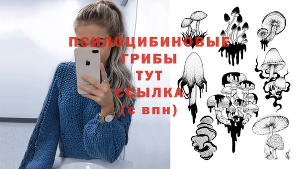 наркотики Абаза